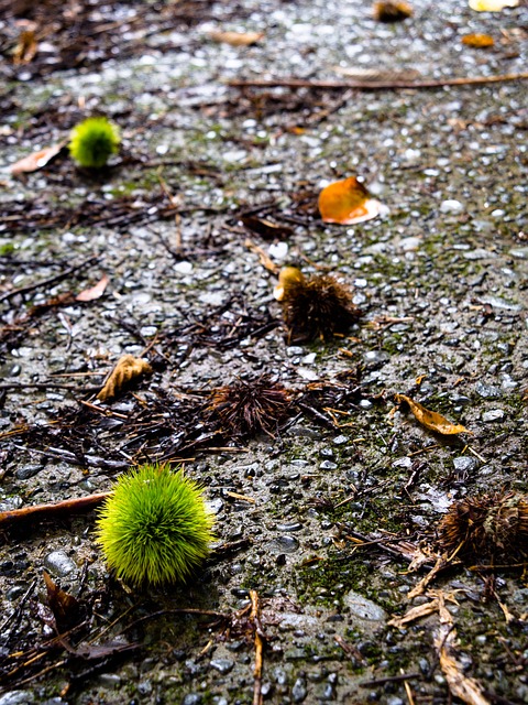 Image by likesilkto from Pixabay
