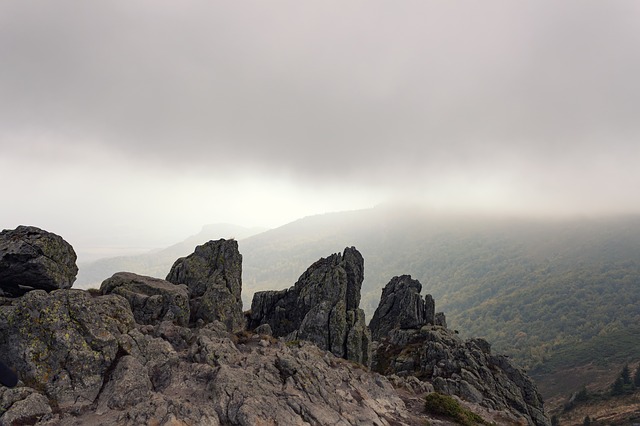 Image by Mircea Ploscar from Pixabay