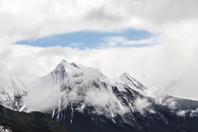 Image by Dennis Larsen from Pixabay