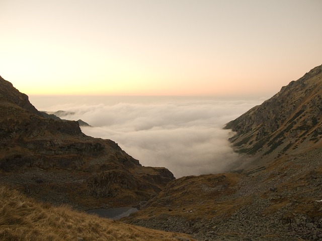 Image by krzysiupra from Pixabay