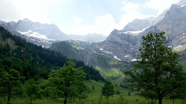 Image by 530963 from Pixabay