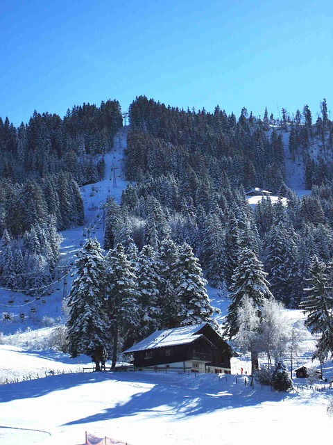 Image by violetta from Pixabay