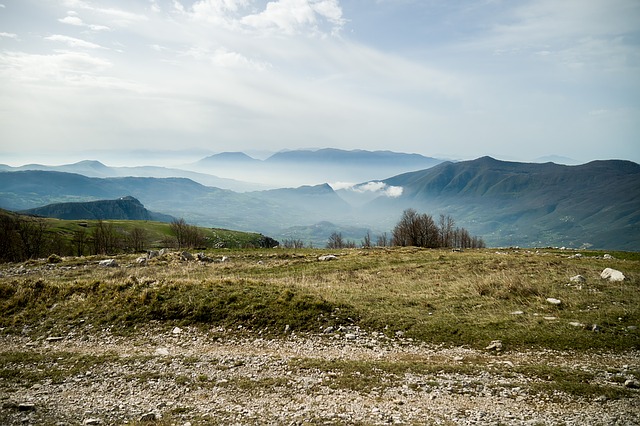 Image by giulianoricella from Pixabay