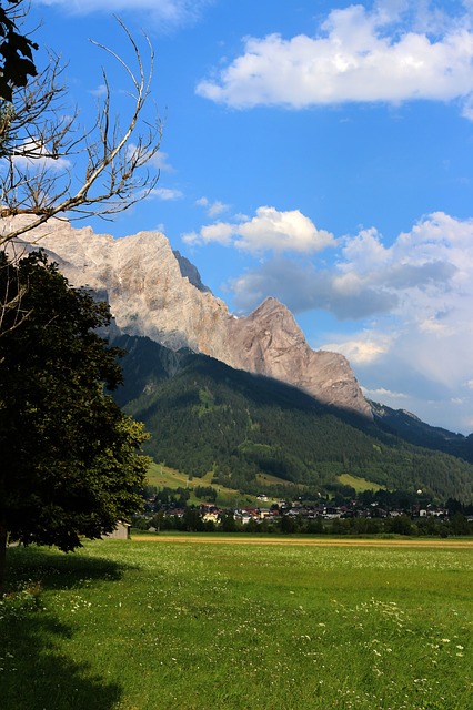 Image by Britta van Elk from Pixabay