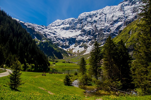 Image by Johannes Westermann from Pixabay