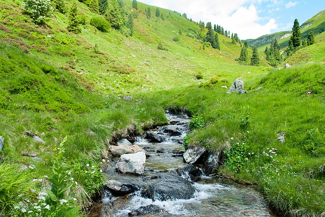 Image by Schmidsi from Pixabay