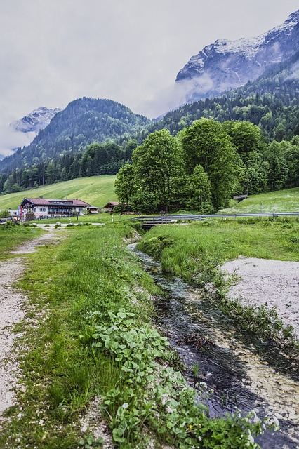 Image by Markus Spiske from Pixabay