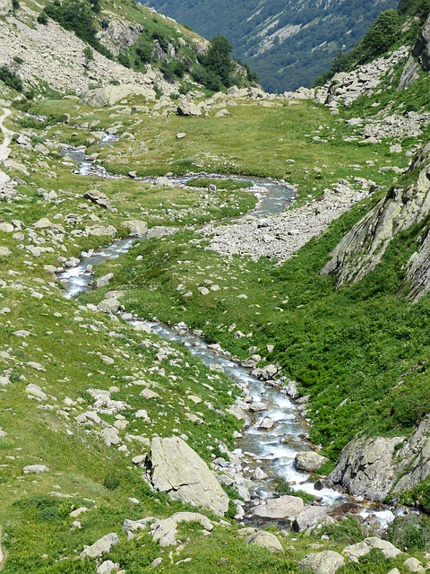 Image by Hans Braxmeier from Pixabay