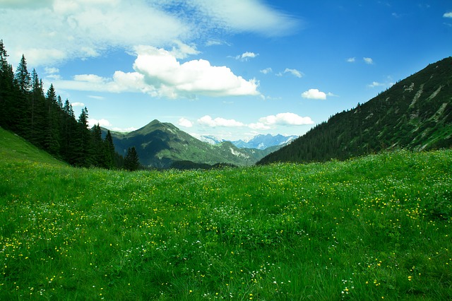 Image by 530963 from Pixabay