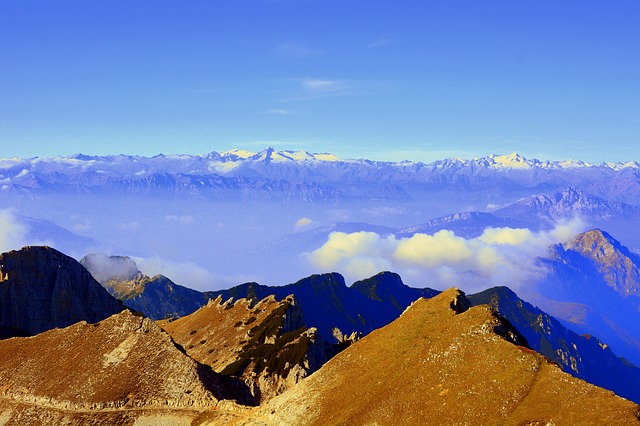 Image by Gianni Crestani from Pixabay