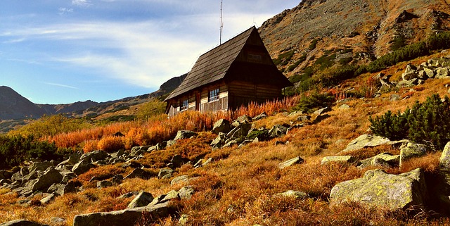 Image by Dariusz Staniszewski from Pixabay