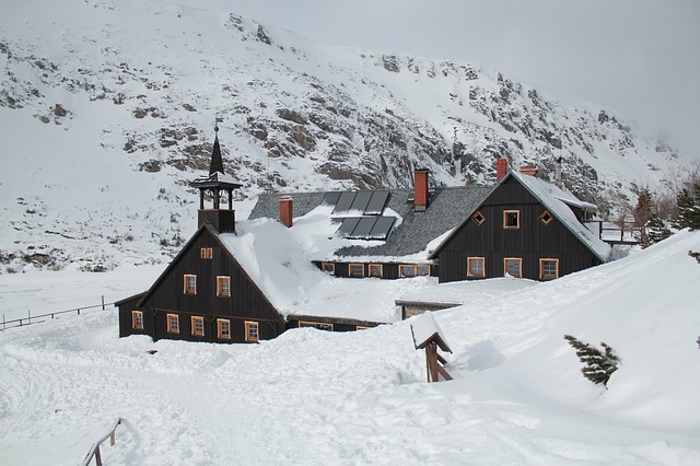 Image by Łukasz Podgórski from Pixabay