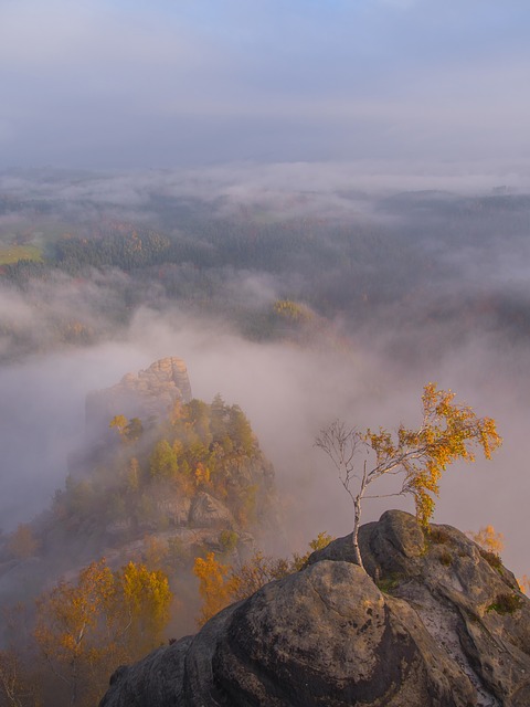 Image by Norbert Pietsch from Pixabay