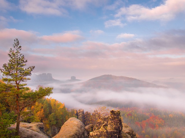 Image by Norbert Pietsch from Pixabay