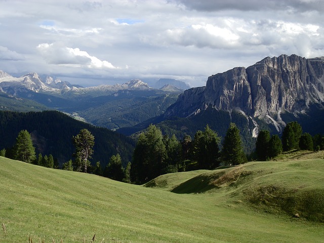 Image by FlyerBine from Pixabay