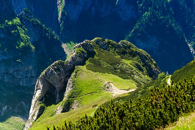 Image by 1988467 from Pixabay