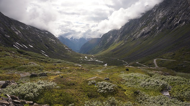 Image by Gjestvang from Pixabay