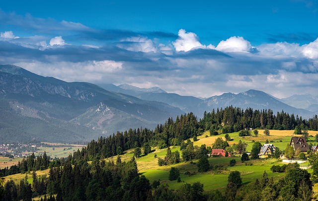 Image by Arek Socha from Pixabay