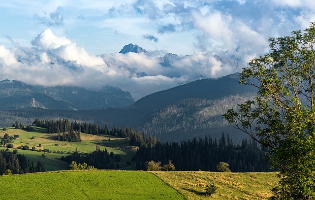 Image by Arek Socha from Pixabay