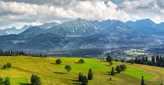 Image by Arek Socha from Pixabay