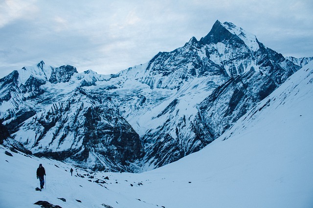 Image by StockSnap from Pixabay