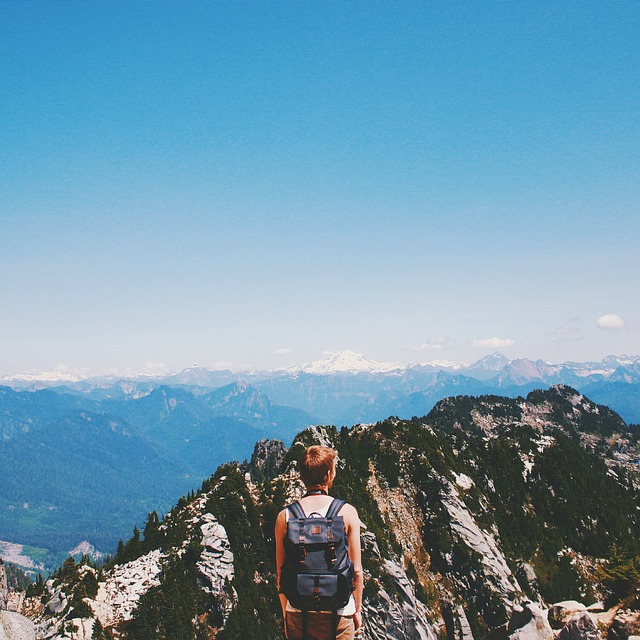 Image by StockSnap from Pixabay
