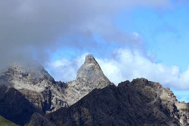 Image by Roman Bader from Pixabay