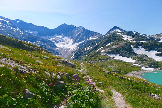 Image by Karl Egger from Pixabay