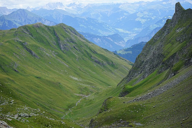 Image by Martin Abgottspon from Pixabay