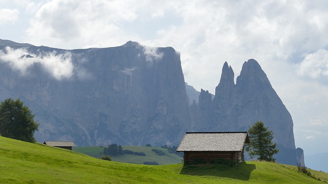 Image by Bärbel Bauer from Pixabay
