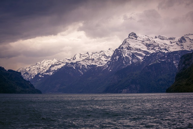 Image by Jakub Orisek from Pixabay