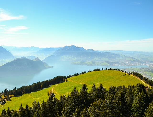 Image by Sarah Lötscher from Pixabay