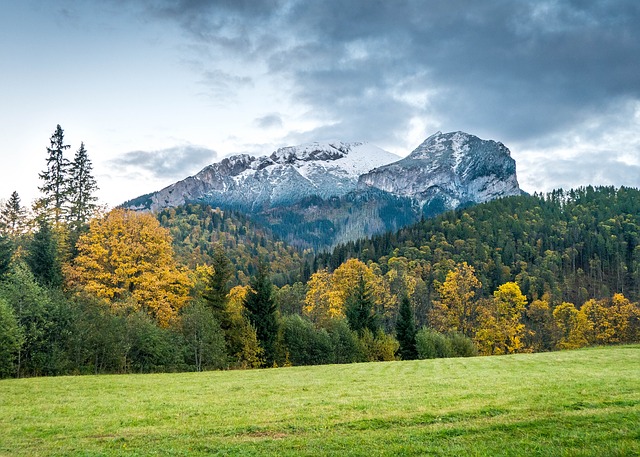 Image by Lukáš Vaľko from Pixabay
