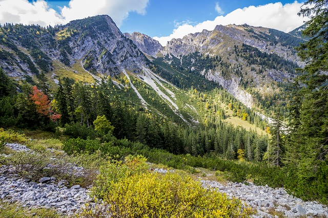 Image by Denny Franzkowiak from Pixabay