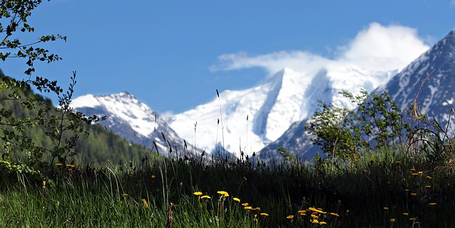 Image by pixel2013 from Pixabay