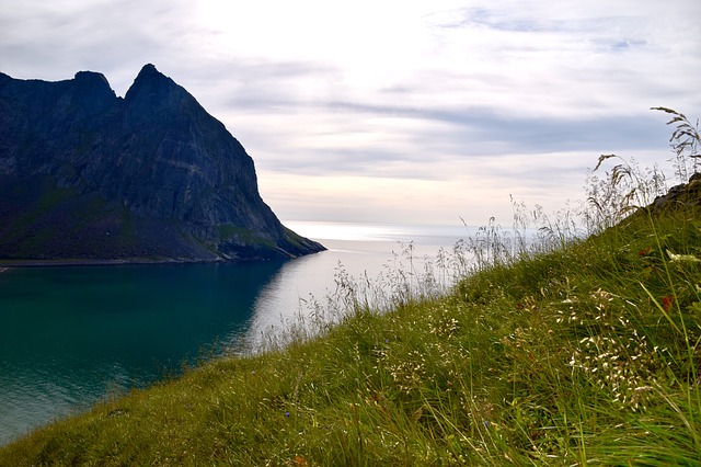 Image by Martin Kraut from Pixabay