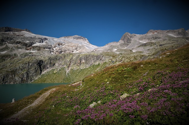 Image by Ingrid und Stefan Melichar from Pixabay