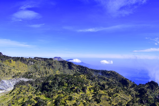 Image by Aliko Sunawang from Pixabay