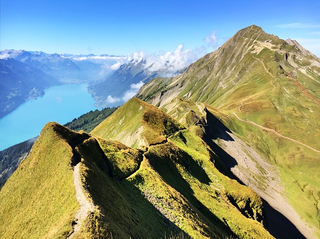 Image by Francesco Lardieri from Pixabay