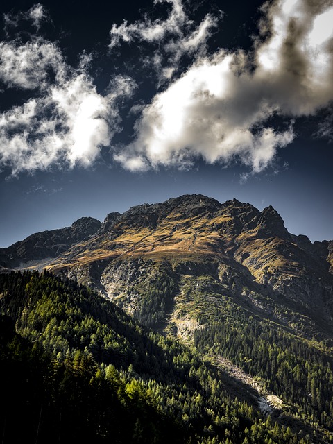 Image by Denny Franzkowiak from Pixabay