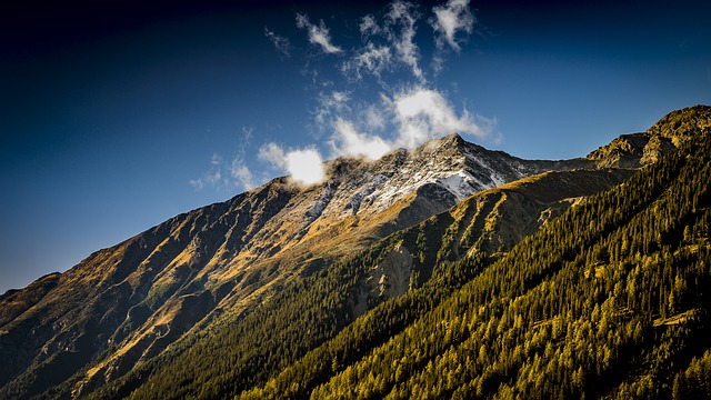 Image by Denny Franzkowiak from Pixabay