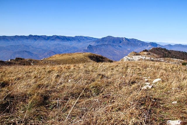 Image by Заира Гамидова from Pixabay