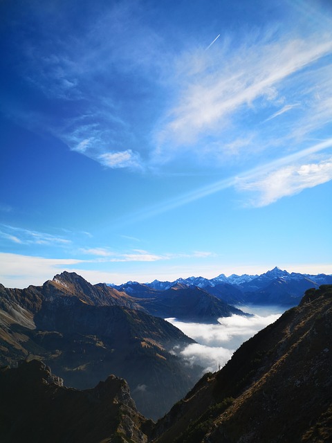 Image by PeterMichalski from Pixabay