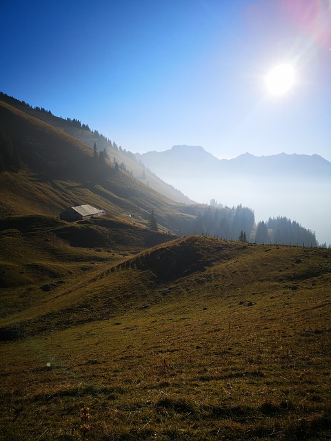 Image by PeterMichalski from Pixabay