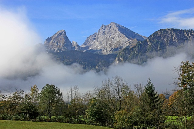 Image by Georg Schober from Pixabay