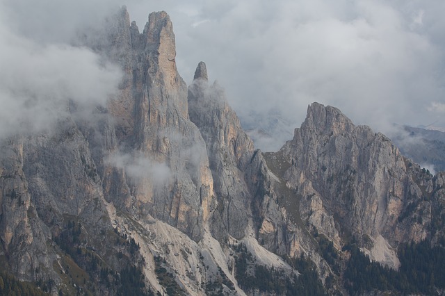 Image by C B from Pixabay
