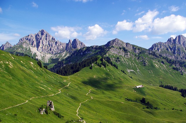 Image by Thomas Jäger from Pixabay