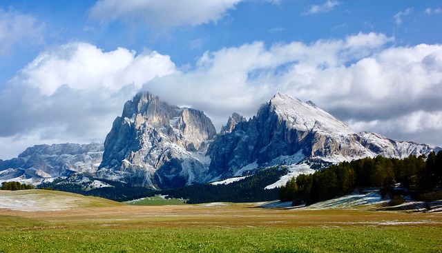 Image by Detlev Lückel from Pixabay