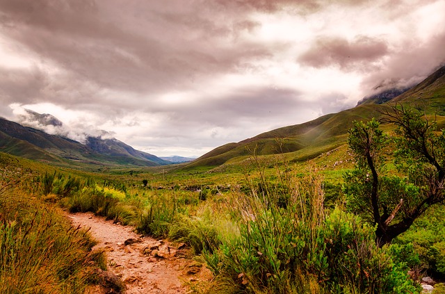 Image by Delyth Williams from Pixabay