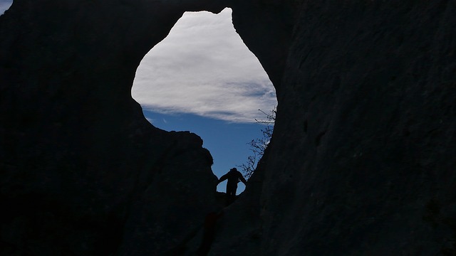 Image by FERNANDO JOSE GARCIA MAESTRE from Pixabay